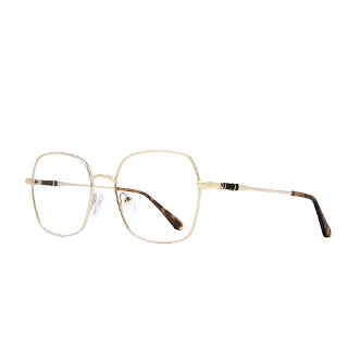 Stylewise Eyeglasses SW464