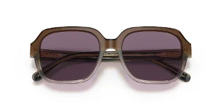 Coach Sunglasses HC8335U