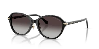 Michael Kors Sunglasses MK2289D