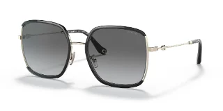 Coach Sunglasses HC7139BD