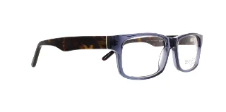 Serafina Eyewear Eyeglasses Champ