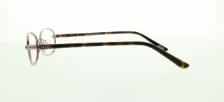 Polo Eyeglasses PP8030