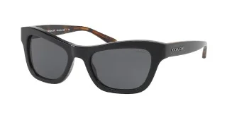 Coach Sunglasses HC8223