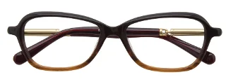 Easyclip Eyeglasses EC336