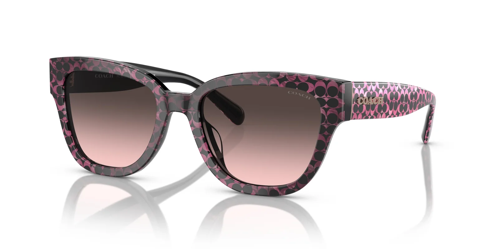 Coach Sunglasses HC8379F