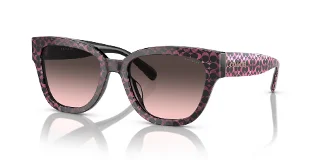 Coach Sunglasses HC8379F