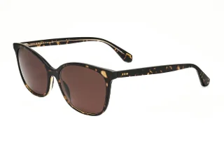 206 BROWN