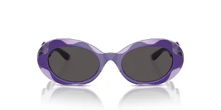 Dolce & Gabbana Sunglasses DX6005