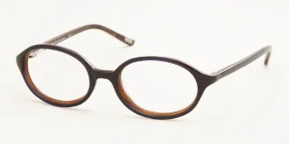 Polo Eyeglasses PP8503