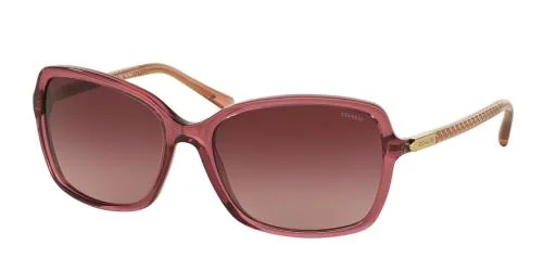 Coach Sunglasses HC8152