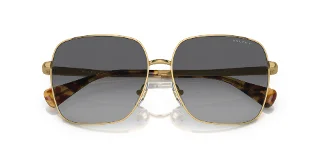 Ralph Sunglasses RA4142