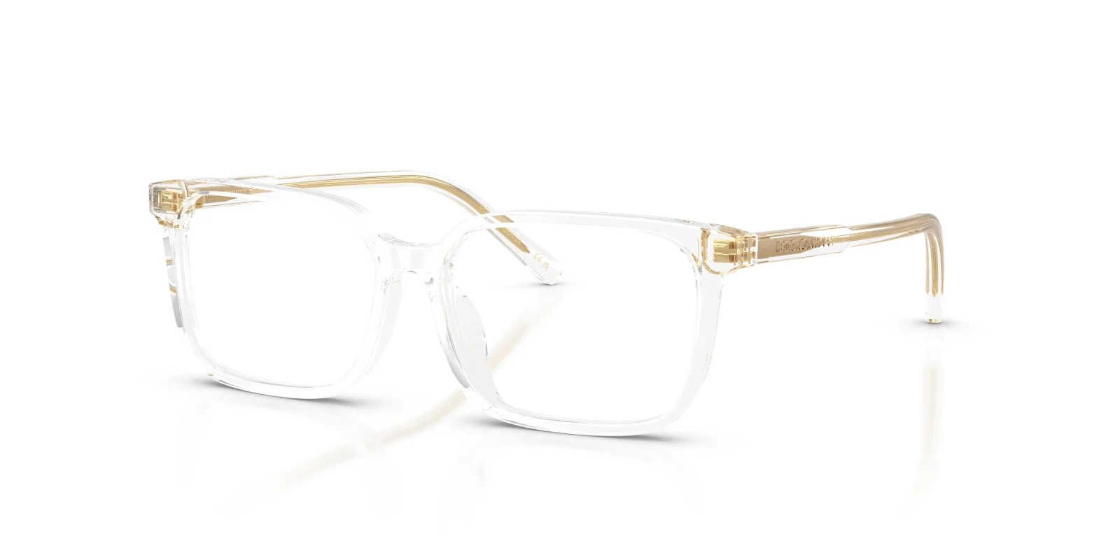 Dolce & Gabbana Eyeglasses DX3003