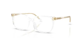 Dolce & Gabbana Eyeglasses DX3003