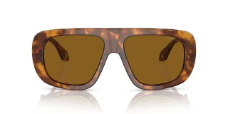 Giorgio Armani Sunglasses AR8183