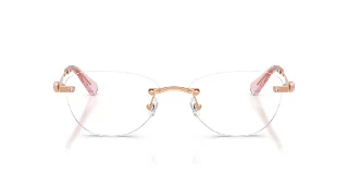 Swarovski Eyeglasses SK1035D