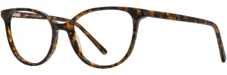 C03 Tortoise