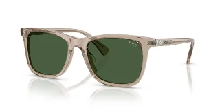 620171 Shiny Transparent Dark Taupe