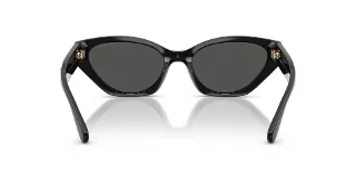 Coach Sunglasses HC8459U