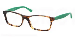 5384 Tortoise