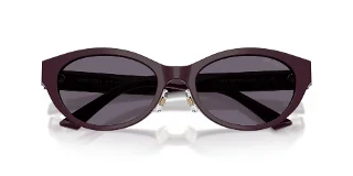 Jimmy Choo Sunglasses JC5064D