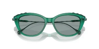Swarovski Sunglasses SK6010