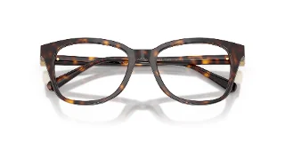 Swarovski Eyeglasses SK2073