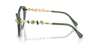Swarovski Eyeglasses SK2047