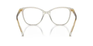 Swarovski Eyeglasses SK2020