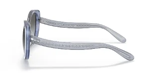 Coach Sunglasses HC8322