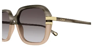 Chloe Sunglasses CH0204S