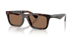 300273 Dark Havana