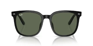 Ray Ban Sunglasses RB4401D