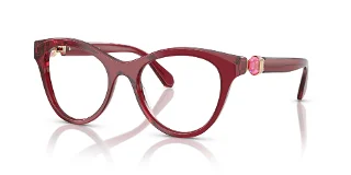 1055 Transparent Burgundy