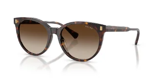 500313 Shiny Dark Havana