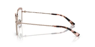 Michael Kors Eyeglasses MK3072