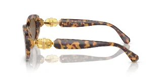 Swarovski Sunglasses SK6002
