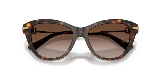 Dolce & Gabbana Sunglasses DG4534