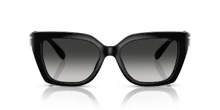 Coach Sunglasses HC8408F