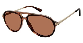 C02 Brown Horn