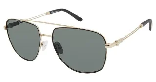 Champion Sunglasses UNWIND