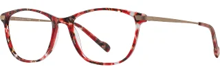 C04 Cherry Tortoise / Gols