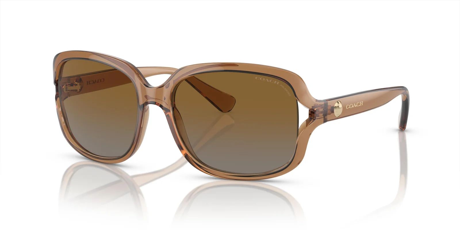 Coach Sunglasses HC8169