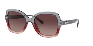 Coach Sunglasses HC8295