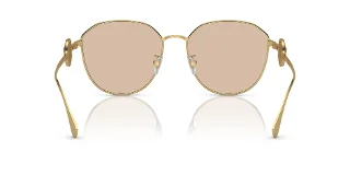 Versace Sunglasses VE2259D