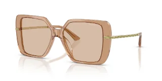 507693 Transparent Tan