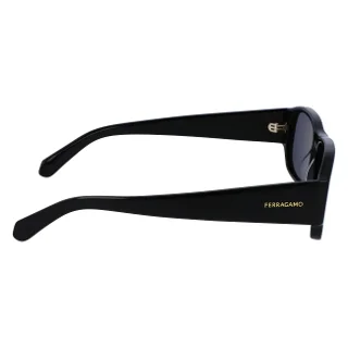 Salvatore Ferragamo Sunglasses SF1109S