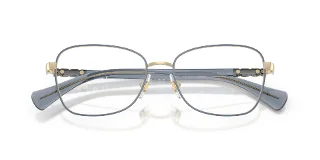 Ralph Eyeglasses RA6062