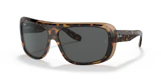 Ray Ban Sunglasses RB2196
