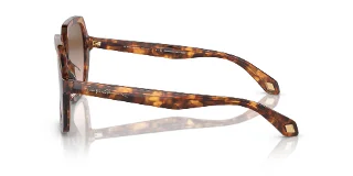Giorgio Armani Sunglasses AR8193U