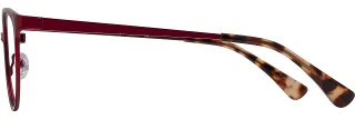 Alan J Eyeglasses CDA-438